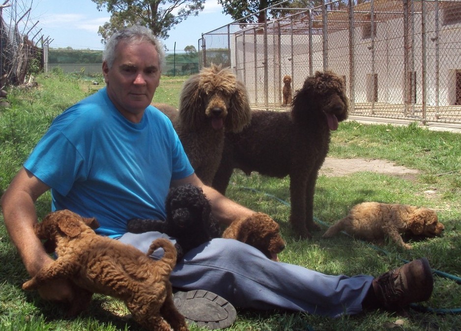 Waterford Boarding Kennels & Cattery in Waterford, Brisbane, QLD, Pet