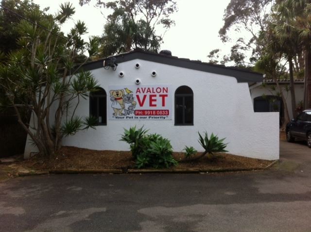 Avalon Veterinary Hospital Pic 1