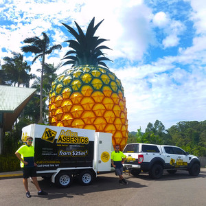 Adios ASBESTOS Removal Sunshine Coast Pic 2 - Sunny Coast Locals