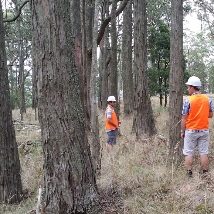 Bushfire Environs Pic 2