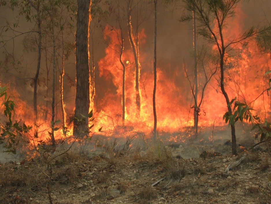 Bushfire Environs Pic 1