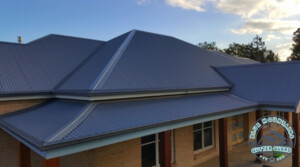 Blue Mountains Gutter Guard Pty Ltd Pic 2