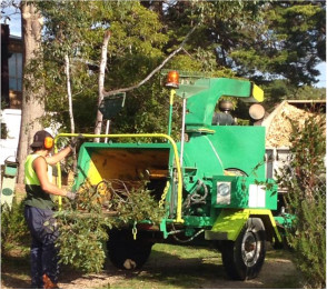 Sayvon Tree Services Pic 4