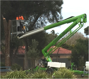 Sayvon Tree Services Pic 5