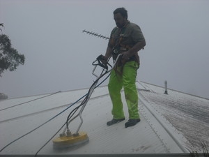 Queensland Mould Solutions Pic 2 - Does your roof need a clean