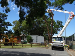 Tree Care WA Pic 2