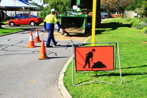 Tree Care WA Pic 3 - A Clean Tidy Site left at all times