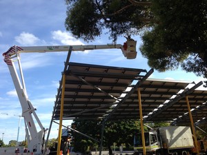 Tree Care WA Pic 4 - Works conducted for Perth Zoo