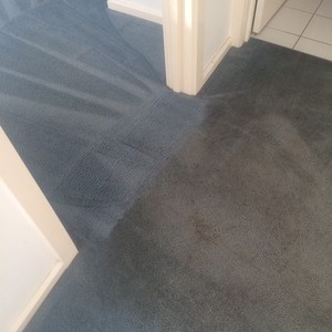 Derek's Carpet Care Pic 3