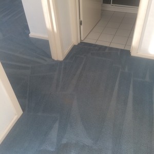 Derek's Carpet Care Pic 5