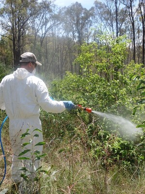 HCB Rural & Land Management Pty Ltd Pic 2 - Weed Management and Control