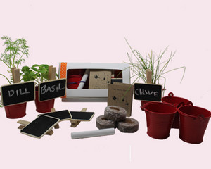 myHoopla Pic 3 - Kids Organic Herb Garden from myHoopla