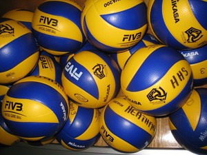 ELSON VOLLEY PTY. LTD. Pic 3