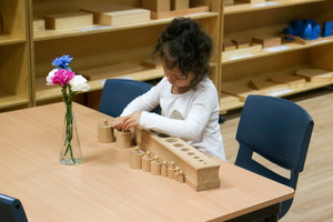 Castle Hill Montessori Academy Pic 4