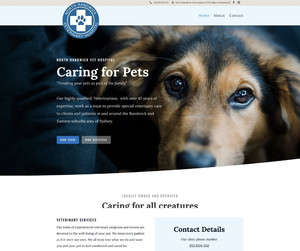 HeyPressGo Pic 4 - Affordable websites from vets to doctors