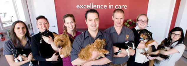 Port Phillip Animal Hospital Pic 1 - The Friendly Team