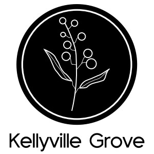 Kellyville Grove Pic 1