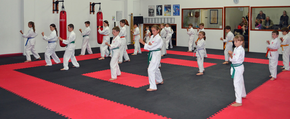 Gold Coast Chito-Ryu Karate Pic 2