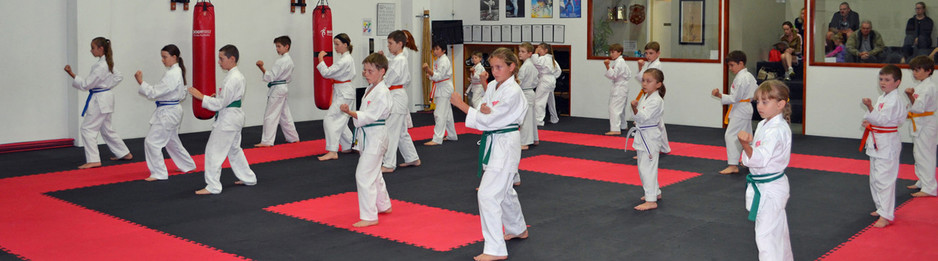 Gold Coast Chito-Ryu Karate Pic 1