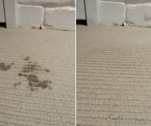 Simon's Carpet Care Pic 2