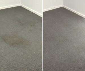 Simon's Carpet Care Pic 5