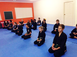 Bujinkan Academy Pic 2