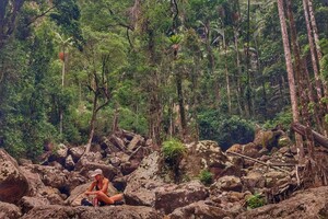 Wilderness Adventures Pic 4 - Bushwalking Tour in Lismore