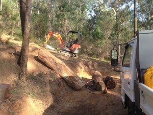 LEE EXCAVATED - Dirt Surgeon Pic 3