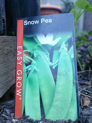 Flower Power Pic 3 - Snow Peas