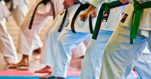 Macquarie Shotokan Karate Pic 4