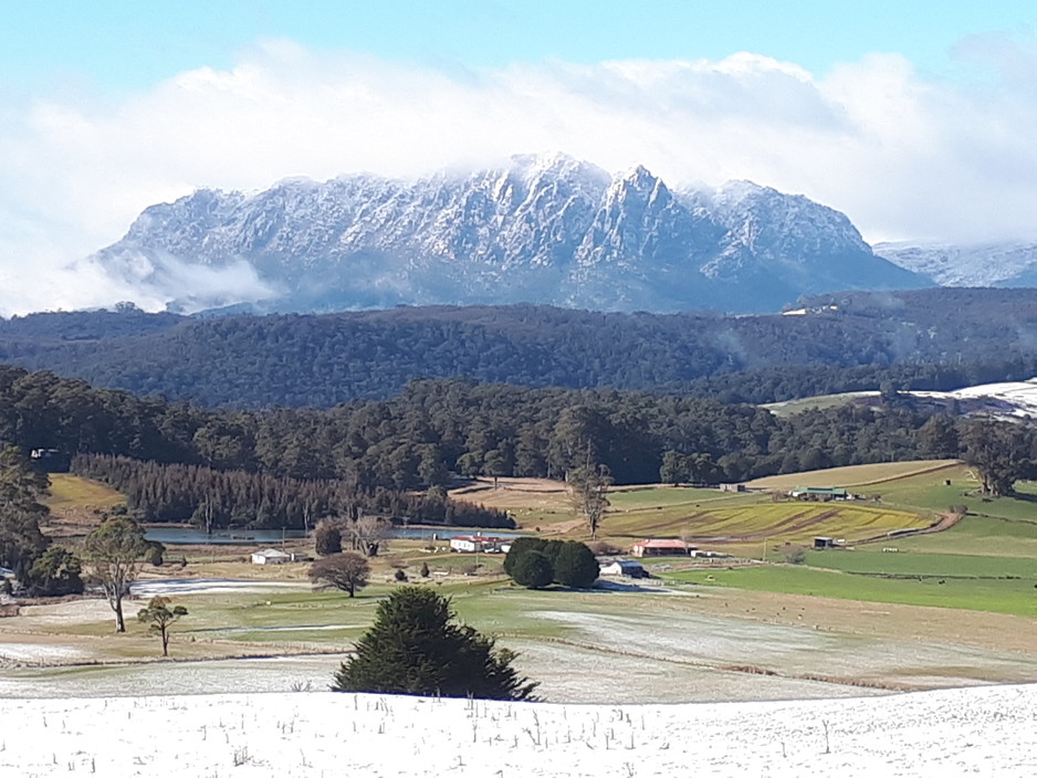 Robin's Nest Bed & Breakfast Pic 1 - Mt Roland with a dusting of snow