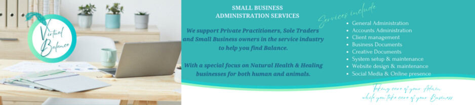 Virtual Balance Business Support Pic 1