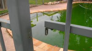 Coffs Coast Pool Fence Inspections Pic 2