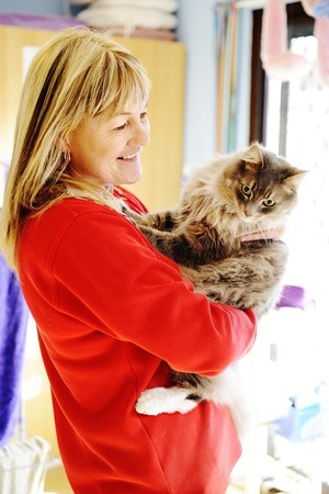 Badger Creek Boarding Kennels & Cattery Pic 4 - Cuddles in our cattery