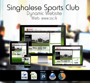 Oganro Ltd Pic 5 - Cricket Club Web Designers in Brisbane