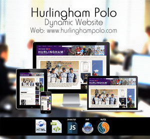 Oganro Ltd Pic 2 - Dynamic Web Developers in Brisbane