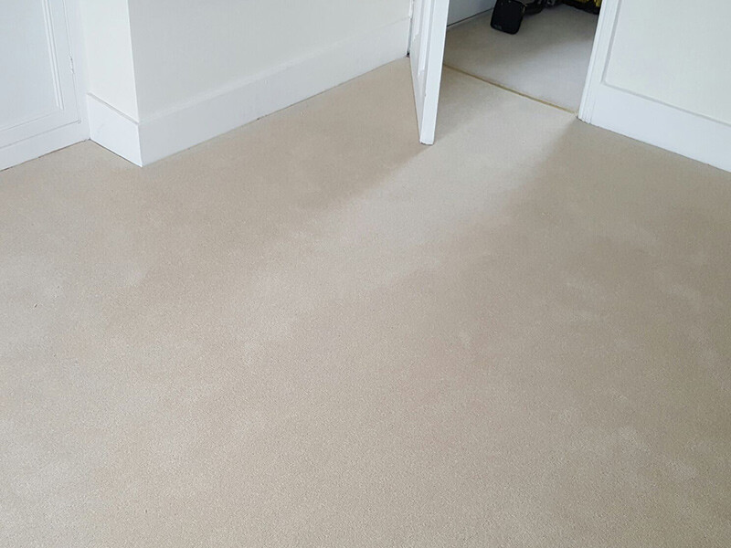 Carpet Cleaning Cloverdale Pic 1