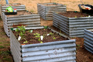 Kactus Engineering Pic 2 - Recycled corrugated iron garden beds just one of the many things Kactus Engineering can build