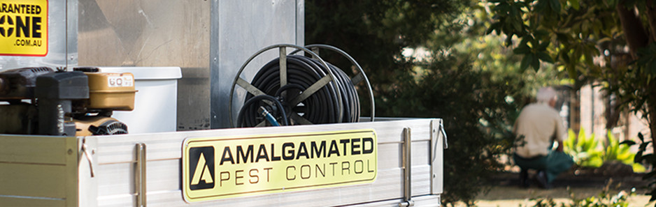 Amalgamated Pest Control Maryborough Pic 2