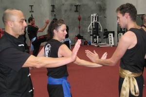 Wing Chun Universe Rosebud Pic 2 - Ladies Self defense Kung Fu Mornington Peninsula