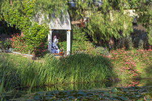 The Ashram Mount Eliza Pic 4 - Ashram Garden