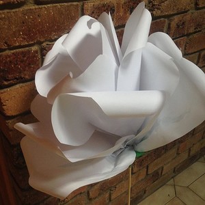 Luxdelin Pic 4 - My giant paper roses