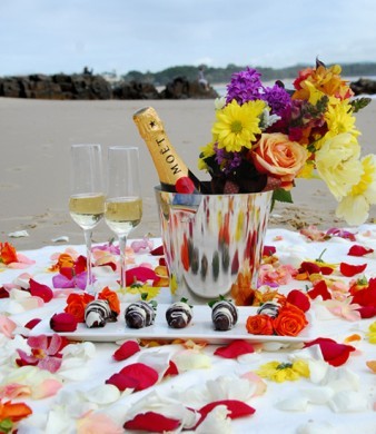 Party Noosa Style Pic 1 - Party Planner