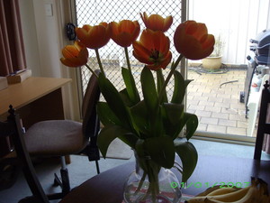 Easyflowers Pic 2