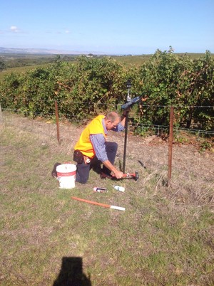 AMB Surveys Pic 3 - Rural Farm Surveys Vineyard set out