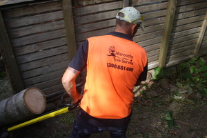 Maroochy Tree Service Pic 5