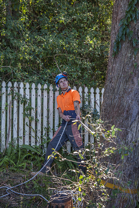 Irwins Tree Care Pic 1