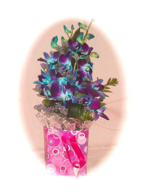 Friary Flowers Pic 2 - Orchid Giftbag