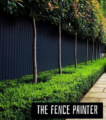 The Fence Painter Pic 1