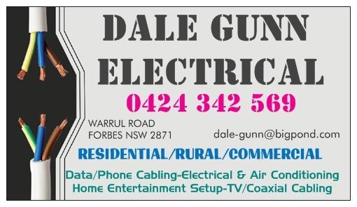 Dale Gunn Electrical Pic 1